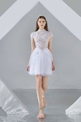 Savanna Puffy Short Sleeved Organza Mini Dress