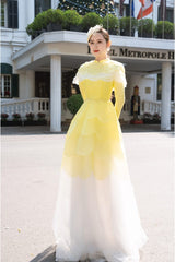 Modyis Ao Dai Maxi Dress - Layered Scallop Organza High Neck
